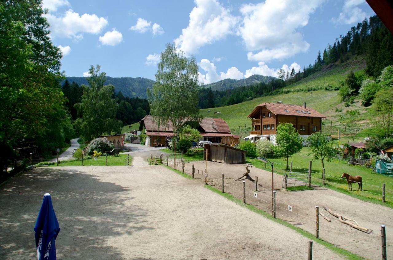 Villa Reiterbauernhof Maho à Sankt Aegyd am Neuwalde Extérieur photo